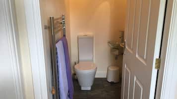 A compact bathroom with a toilet, a glass sink, and a towel rack.