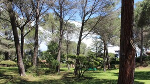 A park with various trees and a grassy area. - Mazet between Gassin and Cogolin, 5 km from Saint Tropez (Gassin)