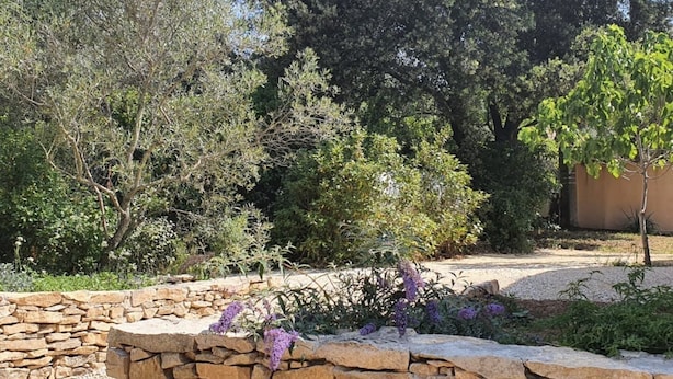 A garden with stone walls and various plants, including purple flowers.