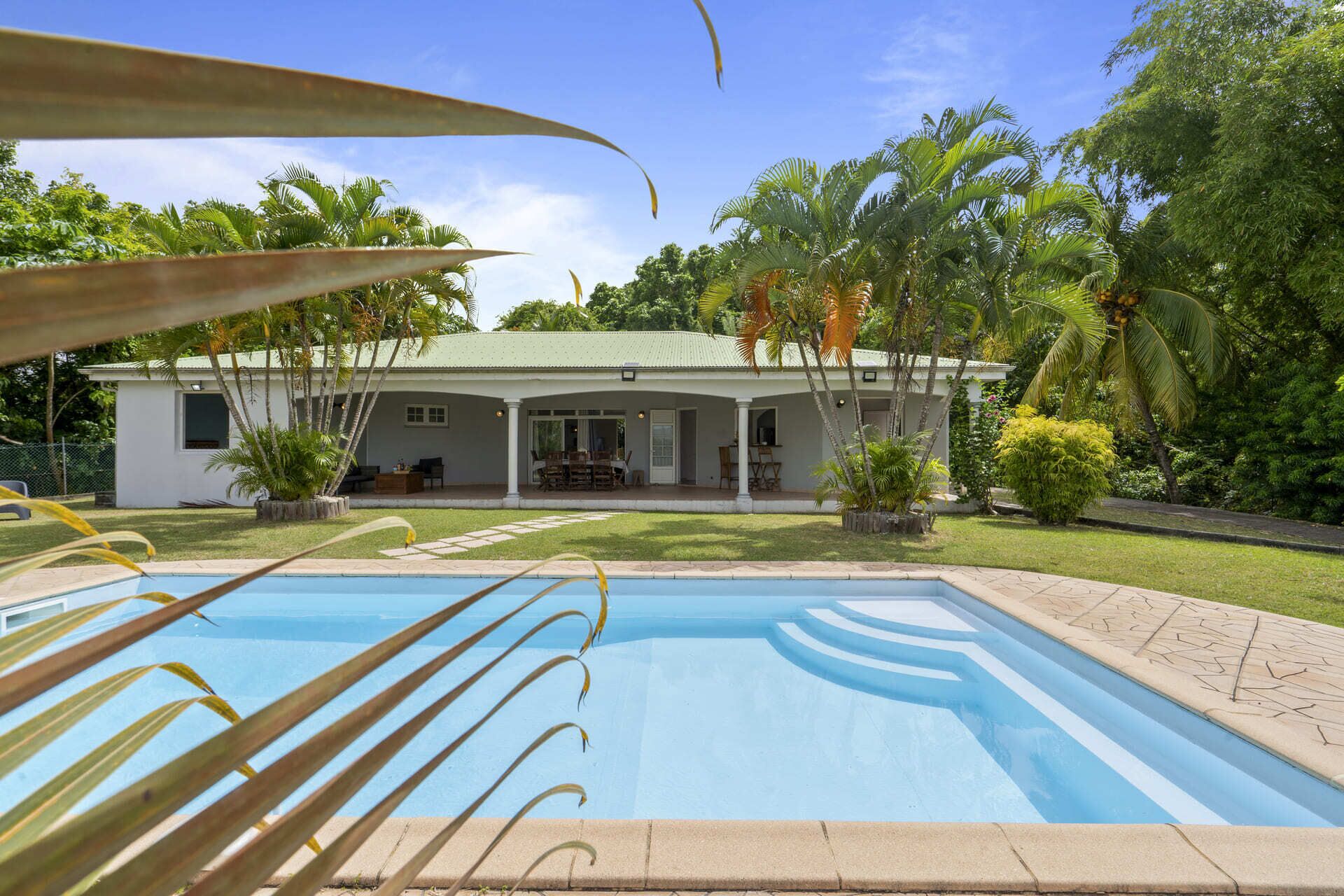 Una casa amb piscina, envoltada de vegetació tropical.