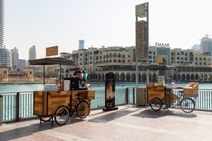 Property grounds - Spacious + Functional Studio Apt in Downtown Dubai (Dubai)