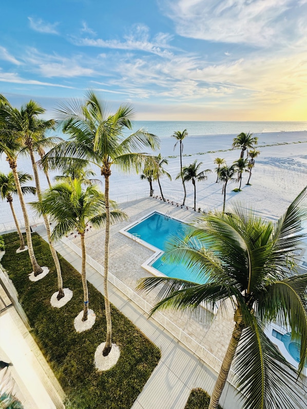 A pool area with palm trees and a view of the beach.