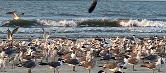 Waterfront! Top floor, corner unit. Beautiful beach & water views!