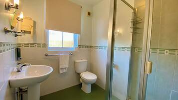 Baño con lavamanos, inodoro y cabina de ducha de vidrio.