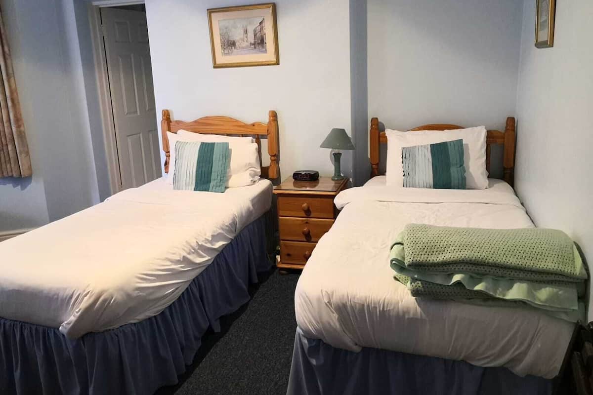 A double room with two single beds, a wooden headboard, a nightstand with a lamp, and a framed picture on the wall.