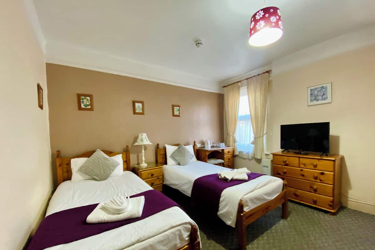 Basic Twin Room | Desk, laptop workspace, iron/ironing board (on request), WiFi (free)