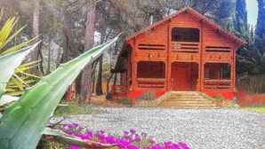 A rustic wooden cabin with a stone foundation, surrounded by a garden with vibrant pink flowers.