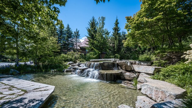 A clear water feature with a stone platform and surrounding greenery.