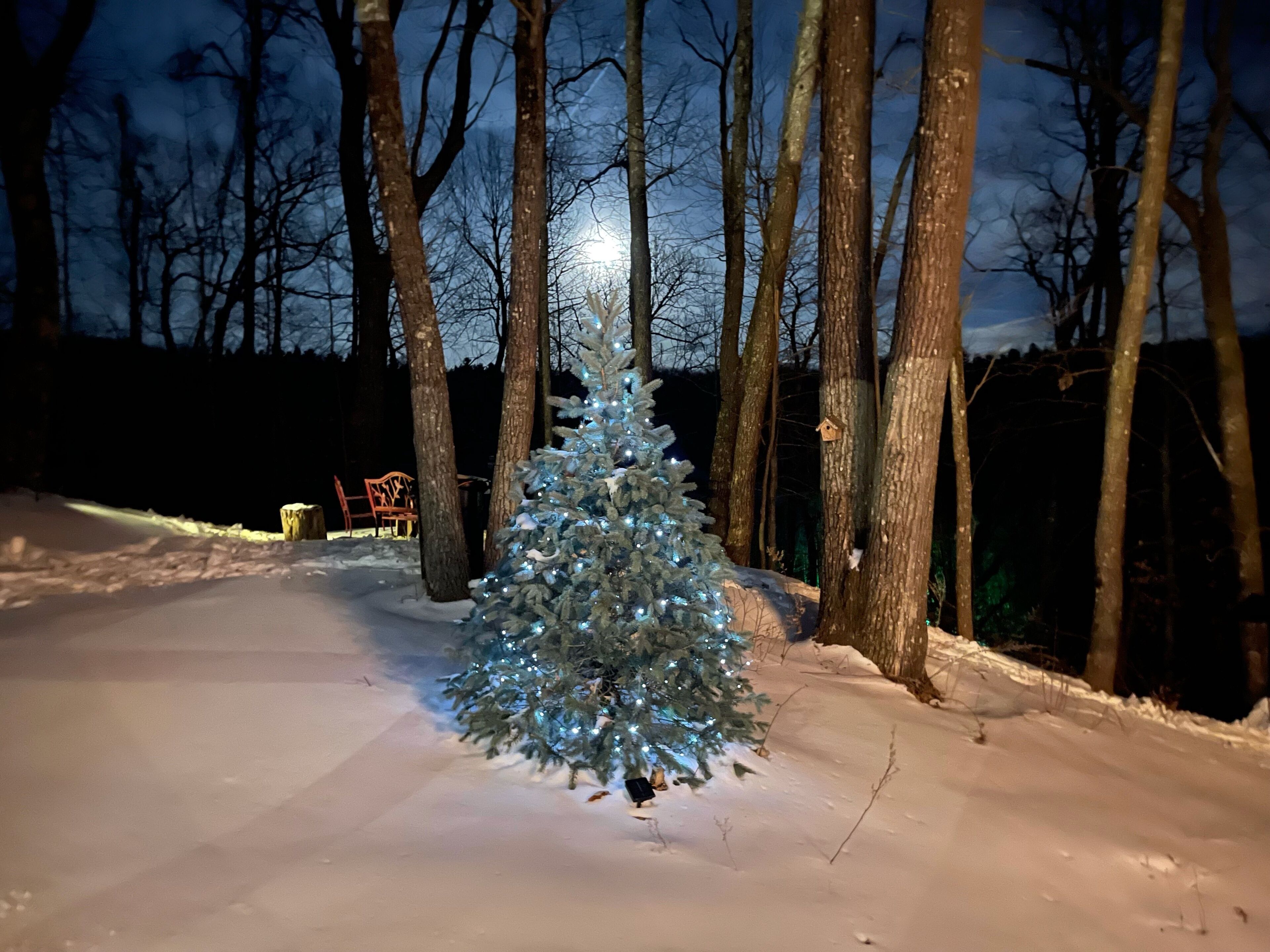 Terreno cubierto de nieve con un pequeño árbol de Navidad iluminado en el centro.