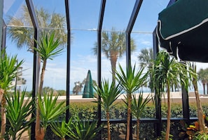 Condo, Multiple Beds (Direct Ocean Front PENTHOUSE! Indoor/) | Exterior