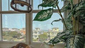 A room with large windows, a hanging light fixture, a birdcage, and a potted plant. - Five Minute Walk to the Beach Sleeps 11 (Cape Charles)