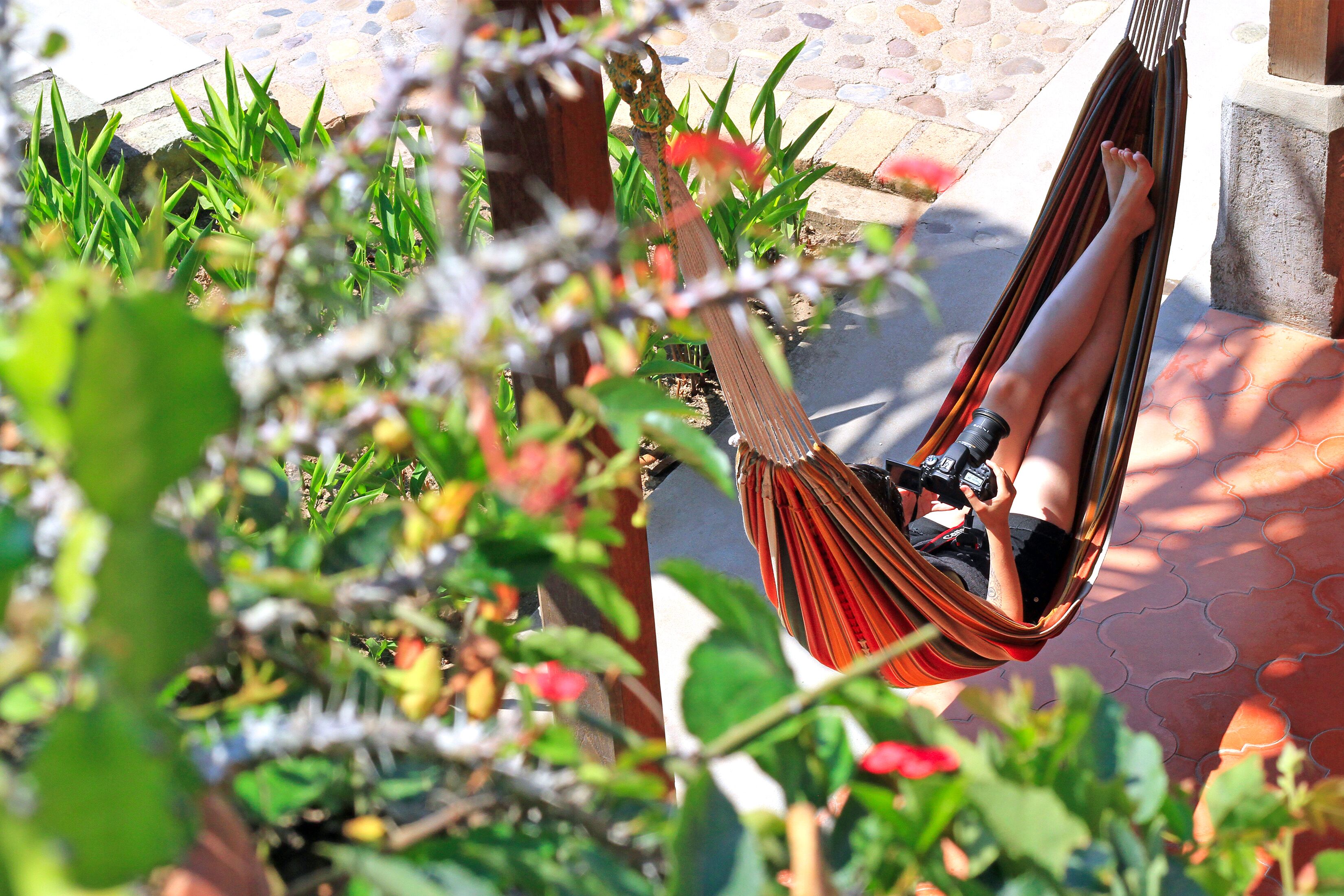 Relax in a comfy hammock in our garden cafe 