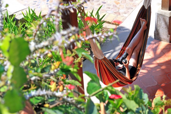 Relax in a comfy hammock in our garden cafe
