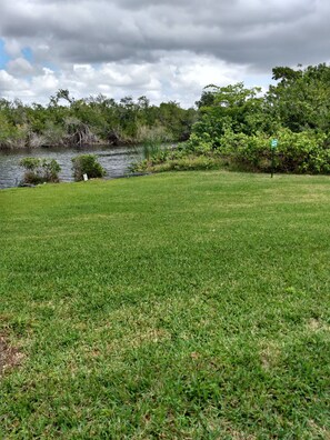 Property grounds - first floor condo, end unit close to Marco island and beaches. (Naples)
