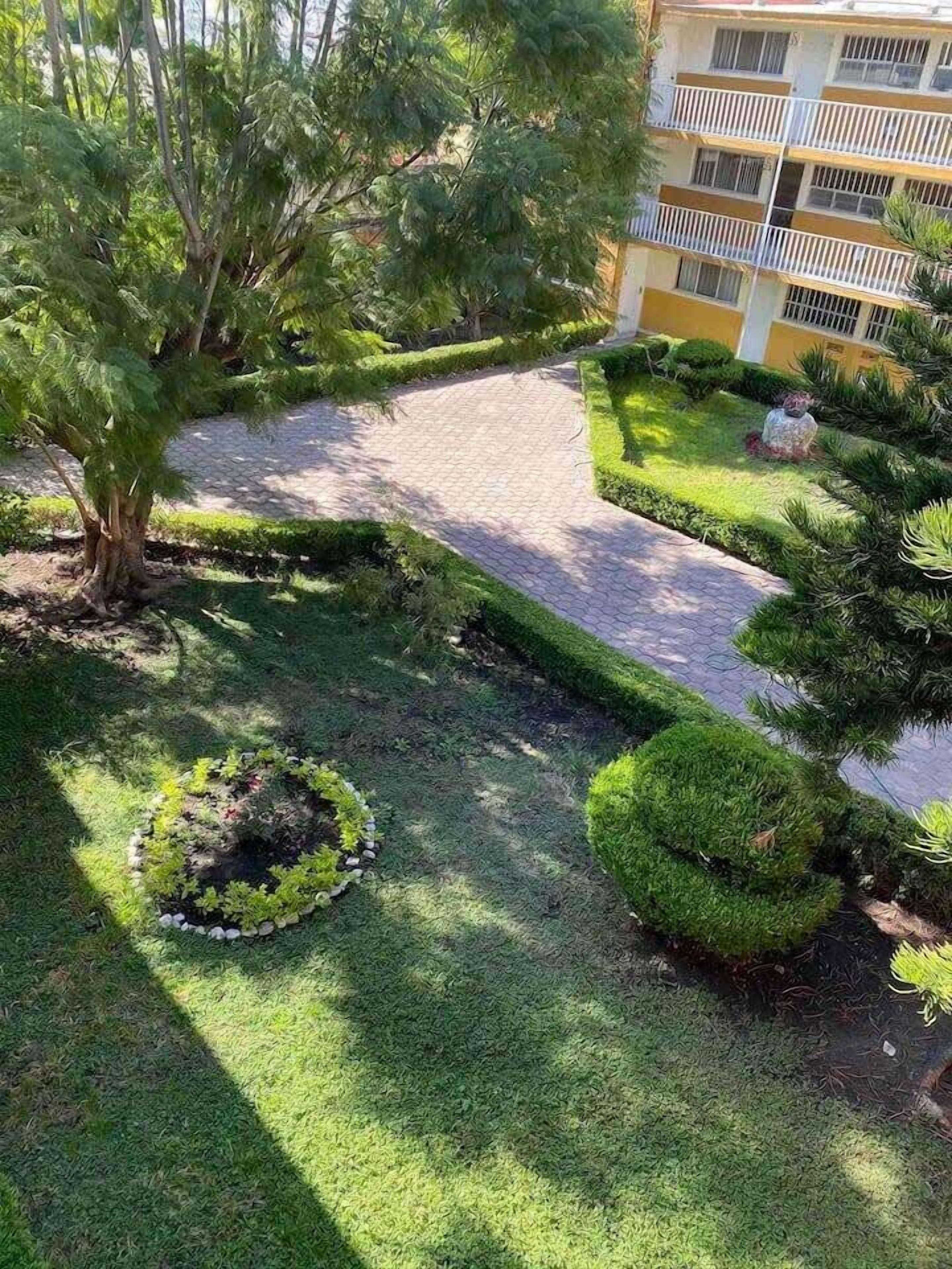 A landscaped courtyard with a paved walkway, trimmed hedges, and a tree.