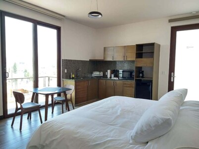 +MS +Suite Loft Amplio Nuevo +Salida a CDMX