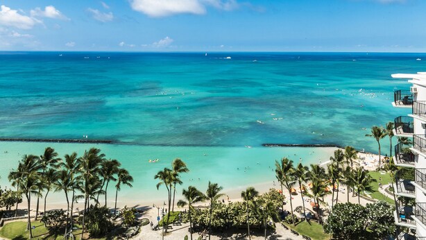 A beachfront hotel with a view of the ocean, palm trees, and a pool area.