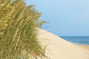 On the beach