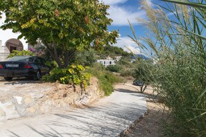 Terrain de l’hébergement