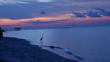 På stranden, liggestole