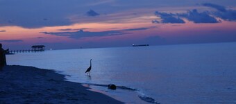 Soul Surfing II-August 2020: Breathtaking Sunset Island Views & Private Beach