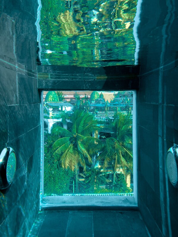 Kolam renang outdoor