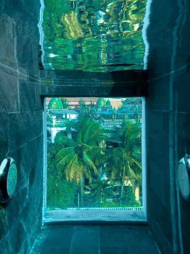 Aborest Tropical Hostel