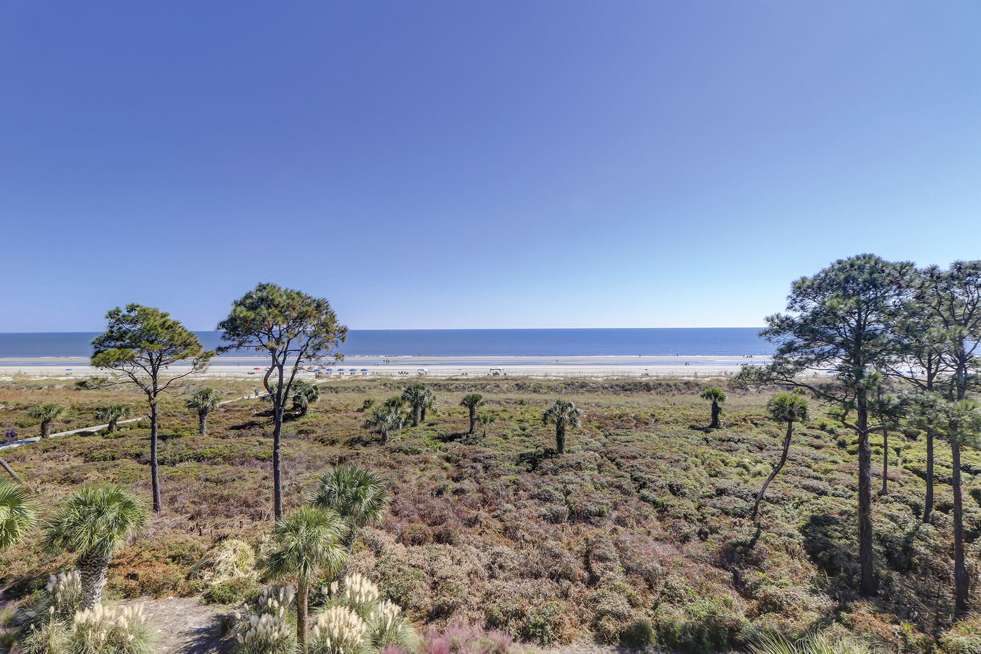 Paisaje costero con vegetación escasa y una playa al fondo.