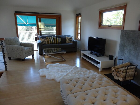 TV, fireplace, video games, DVD player