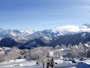 A mountainous landscape with snow-covered trees and a clear sky.