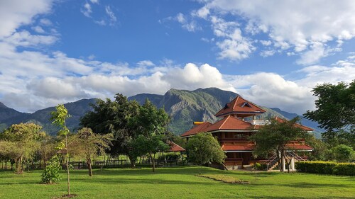 Avadale Masinagudi - Stag Groups Not Allowed 