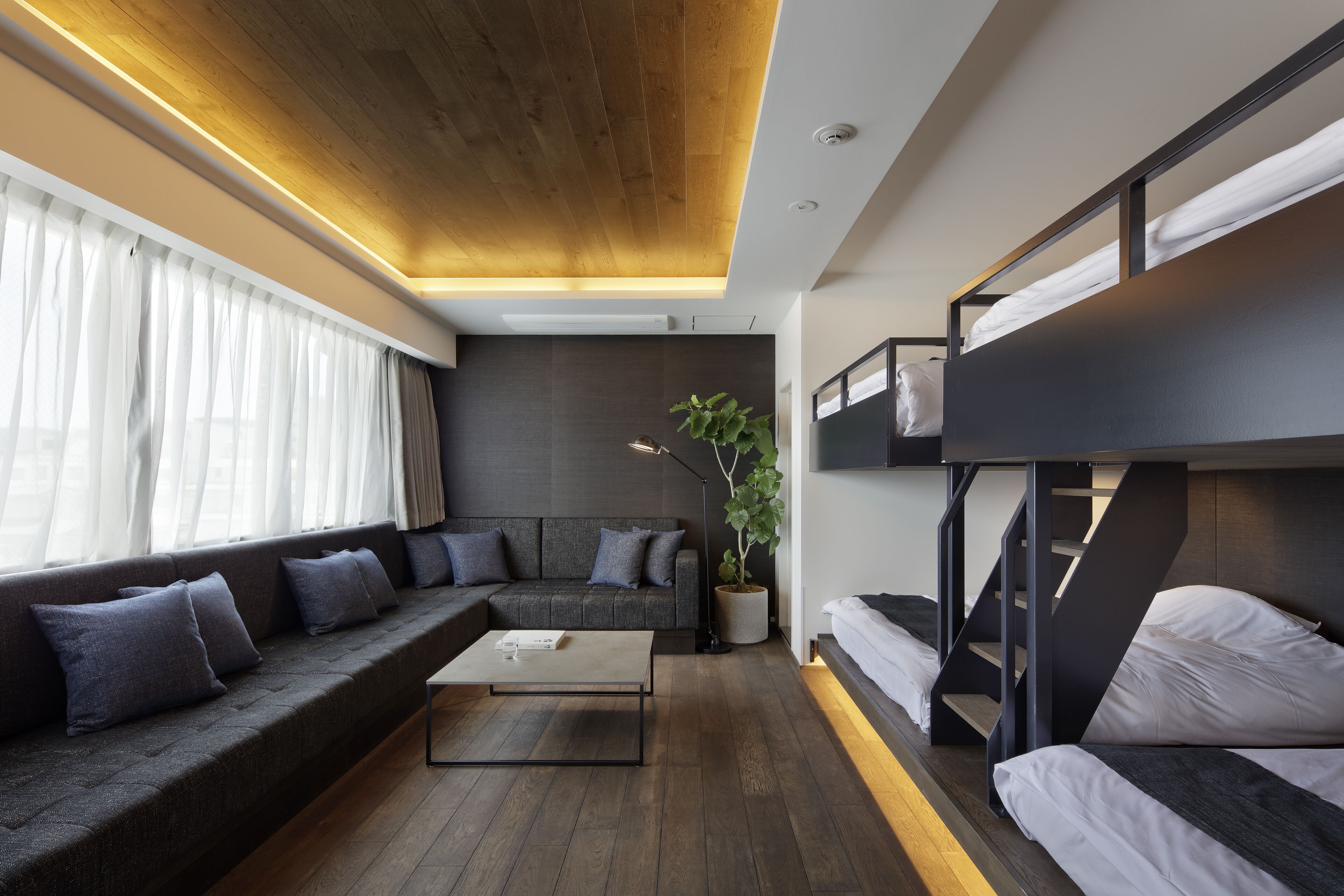 Un salon moderne avec un canapé, une table basse, une plante et un lit superposé.