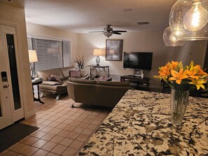 تلفزيون، مشغل دي في دي