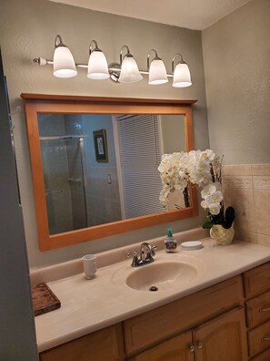 Shower, towels, toilet paper