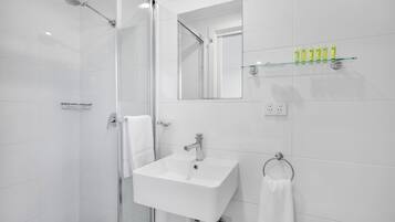 A modern bathroom with a glass shower enclosure, a white sink, and a mirror above it.