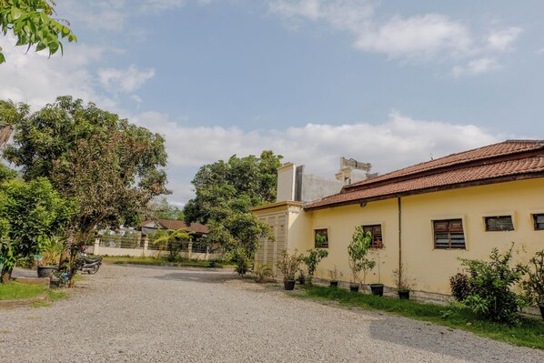A gravel driveway leading to a yellow building with a tiled roof, surrounded by greenery and potted plants.