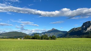 Uklassifisert bilde, 4 av 32, knapp