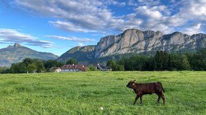 Uklassifisert bilde, 3 av 32, knapp