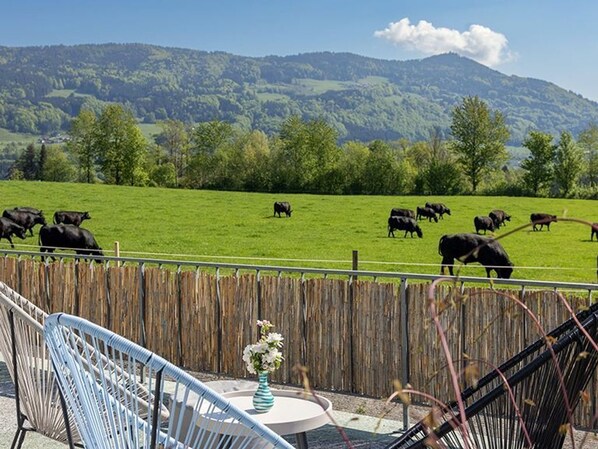 Property grounds - Double room FRANZL - Guesthouse Drachennest (Sankt Lorenz)