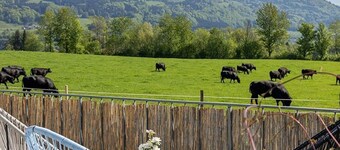 Double room FRANZL - Guesthouse Drachennest