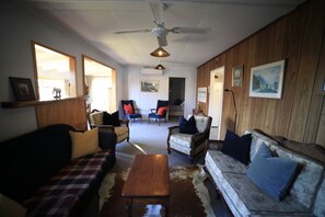 TV, fireplace, books