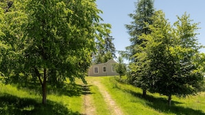 Una casa de un piso con una puerta principal y ventanas visibles, rodeada de frondosos árboles verdes y un camino de césped que conduce a ella.