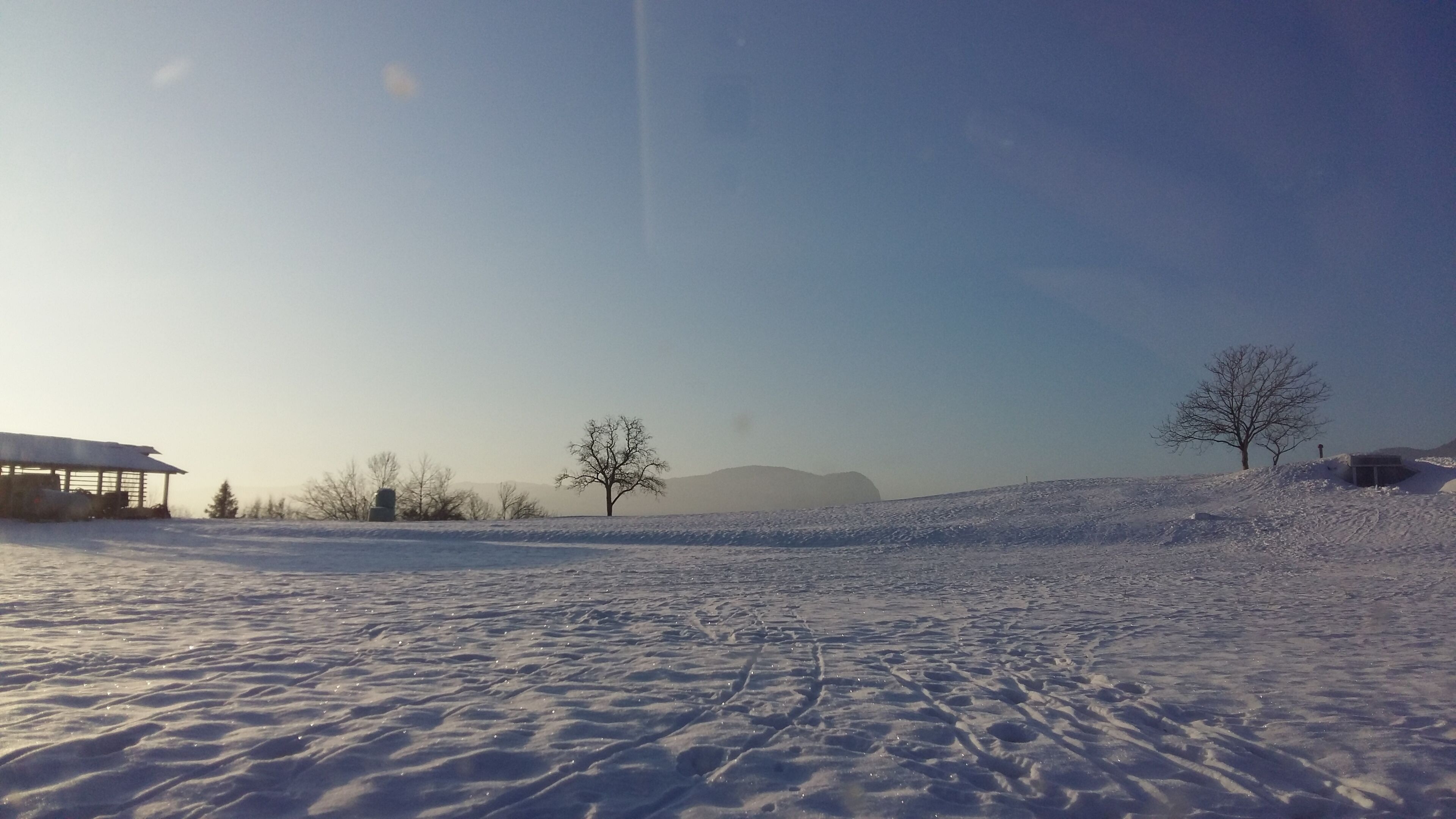 Un paysage enneigé, avec un ciel dégagé, quelques arbres et un bâtiment visible au loin.