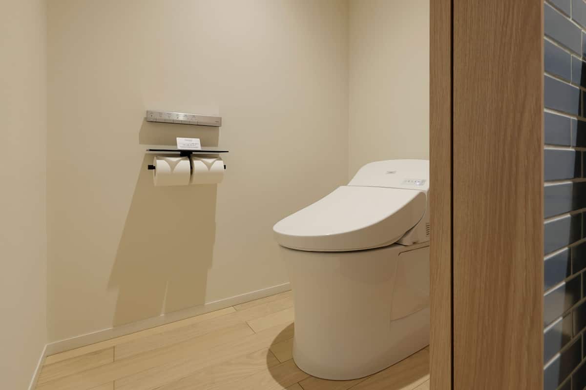 shower, free toiletries, hair dryer, slippers