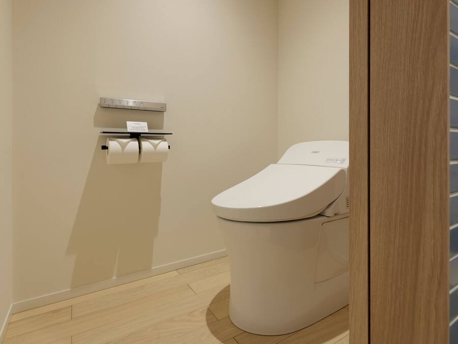 A modern bathroom with a toilet, a toilet paper holder, and a wooden floor.