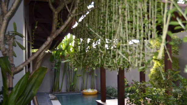 Un área de piscina con un flotador, rodeada de vegetación exuberante y estructuras de madera.