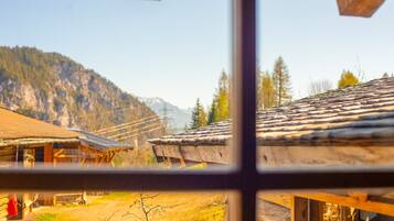 經典公寓, 2 間臥室, 非吸煙房, 山景 (Eibenberg) | 客房景觀