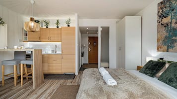 Studio Suite | Seprai antialergi, didekorasi berbeda-beda, dan Wi-Fi gratis