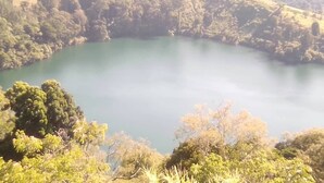 星評価なしの画像、3 / 18、ボタン
