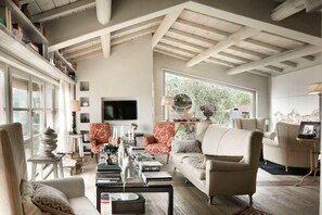 Televisio, takka, DVD-soitin, työhuone